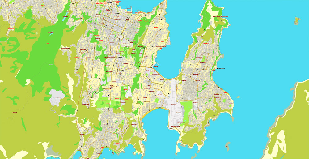 Pdf map Wellington New Zealand 3 11 PDF