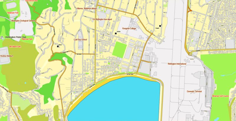 Wellington Printable Map, New Zealand, exact vector street City Plan map v.03.11, fully editable, Adobe Illustrator