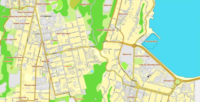 Wellington Printable Map, New Zealand, exact vector street City Plan map v.03.11, fully editable, Adobe Illustrator