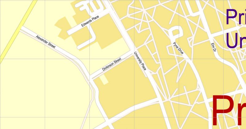 Printable Map Princeton University, Princeton New Jersey, US, exact vector street G-View Level 17 (100 meters scale) map, V.21.12. fully editable, Adobe Illustrator, full vector, scalable, editable text format of street names, 2 Mb ZIP.