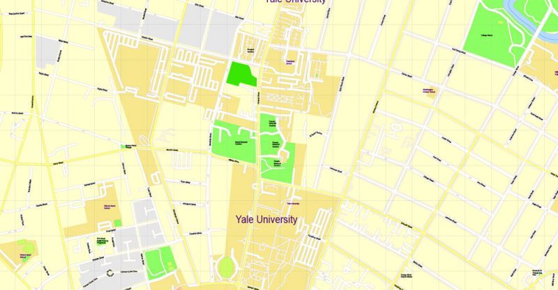 Printable Map Yale University, New Haven, Connecticut, US, exact vector street G-View Level 17 (100 meters scale) map, V.30.12. fully editable, Adobe Illustrator
