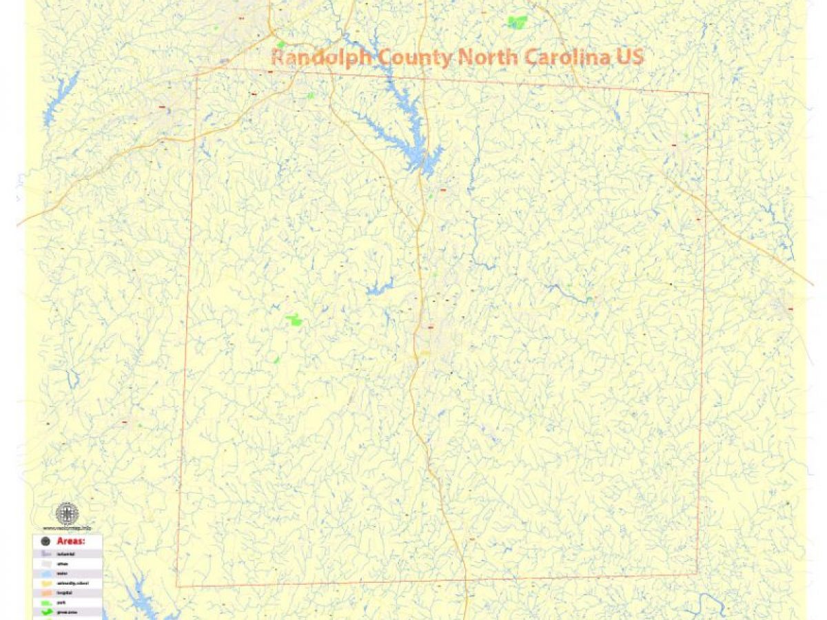 randolph ma gun license