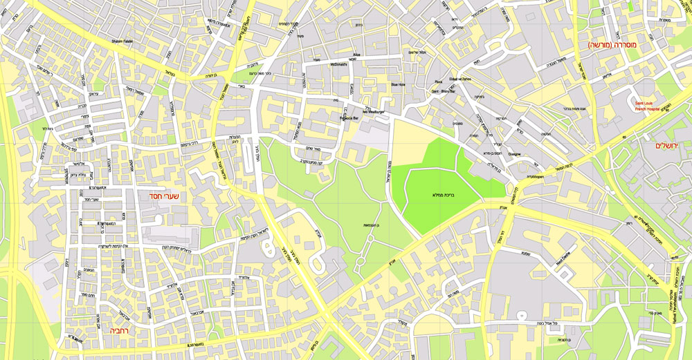 Printable Map Jerusalem, Israel, HEBREW vector map Adobe Illustrator editable G-View Level 17 (100 meters scale) V.07.01.17, full vector, scalable, hebrew curves format street names, 18 mb ZIP