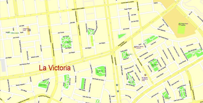 Printable Map Lima, Peru, exact Map City Plan Level G-View 17 (100 meters scale) full editable, Adobe Illustrator