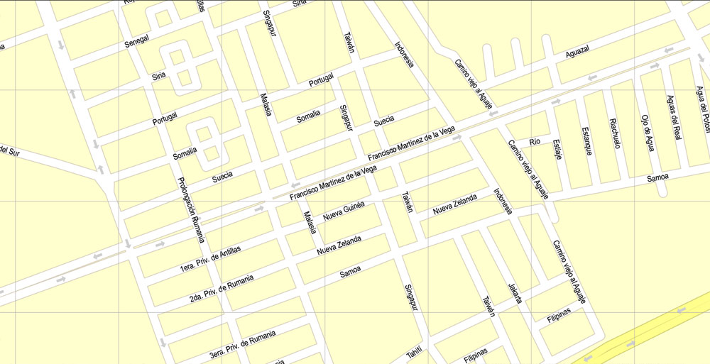 Printable Map San Luis Potosi, Mexico exact vector Map street G-View City Plan Level 17 (100 meters scale) full editable, Adobe Illustrator