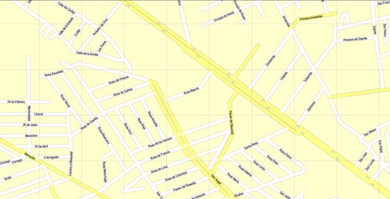 Printable Map San Luis Potosi, Mexico exact vector Map street G-View City Plan Level 17 (100 meters scale) full editable, Adobe Illustrator