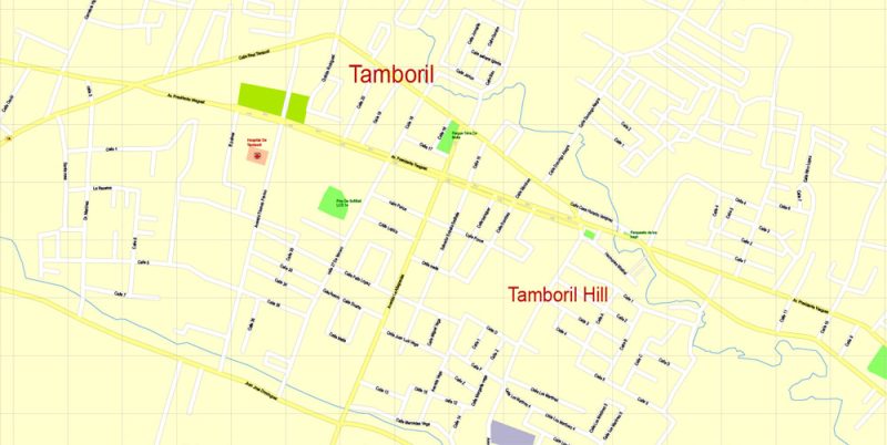 Printable Map Santiago + Moca, Republica Dominicana exact vector Map street G-View City Plan Level 17 (100 meters scale) full editable, Adobe Illustrator