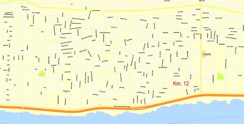 Printable Map Santo Domingo, Republica Dominicana exact vector Map street G-View City Plan Level 17 (100 meters scale) full editable, Adobe Illustrator
