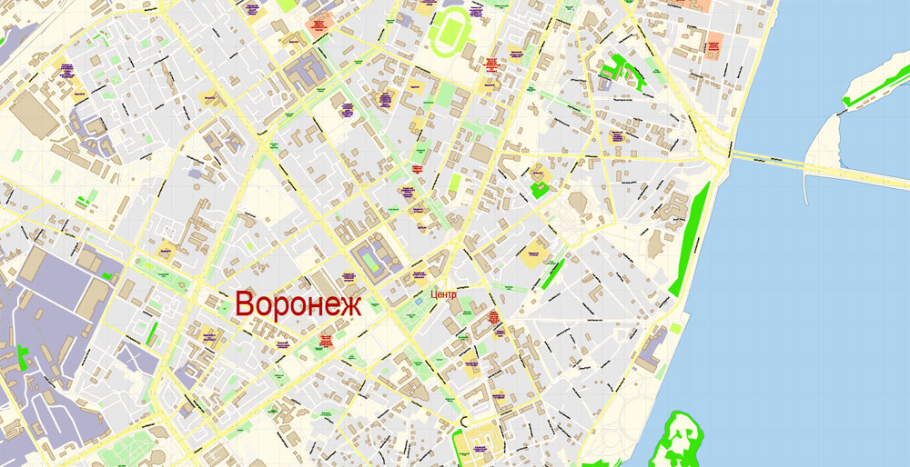 Пушкинская карта воронеж