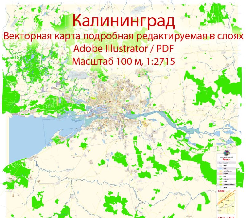 Калининград векторная карта города подробная редактируемая в слоях Adobe Illustrator