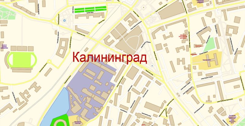 Калининград векторная карта города подробная редактируемая в слоях Adobe Illustrator