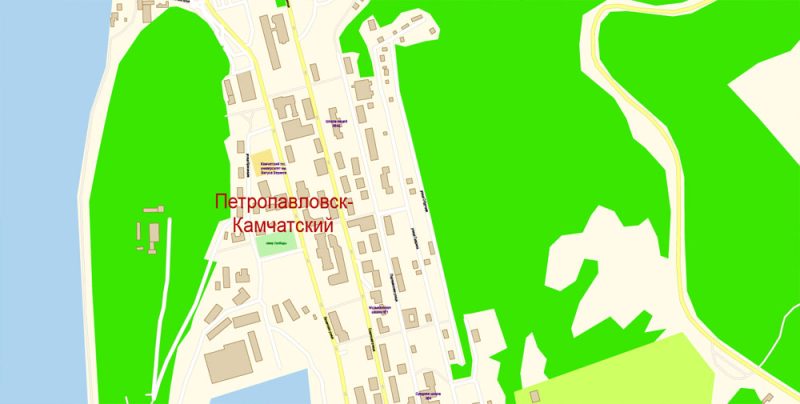 Петропавловск Камчатский векторная карта подробная редактируемая в слоях Adobe Illustrator