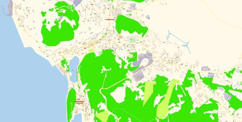 Петропавловск Камчатский векторная карта подробная редактируемая в слоях Adobe Illustrator