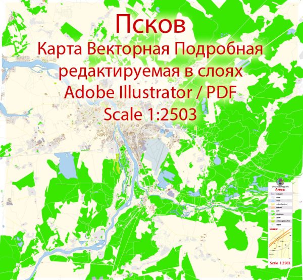 Псков векторная карта подробная редактируемая в слоях Adobe Illustrator