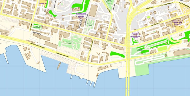 Владивосток векторная карта подробная редактируемая в слоях Adobe Illustrator
