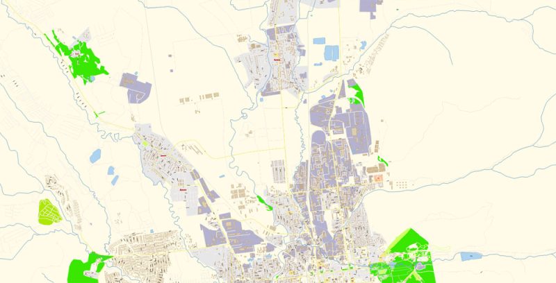 Южно-Сахалинск векторная карта города подробная редактируемая в слоях Adobe Illustrator