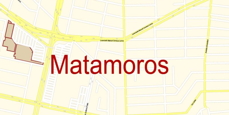 Brownsville, Harlingen, McAllen, Edinburg TX; Reynosa, Matamoros MX Map Vector Exact City Plan detailed Street Map Adobe Illustrator in layers