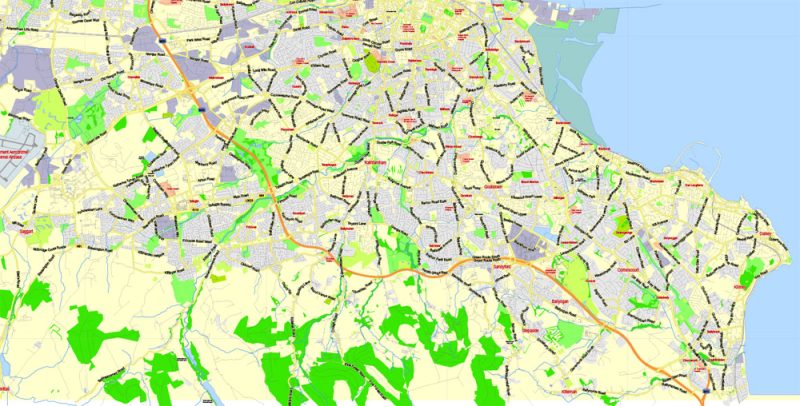 Dublin Map Vector Ireland Exact City Plan Low detailed Street Map editable Adobe Illustrator in layers