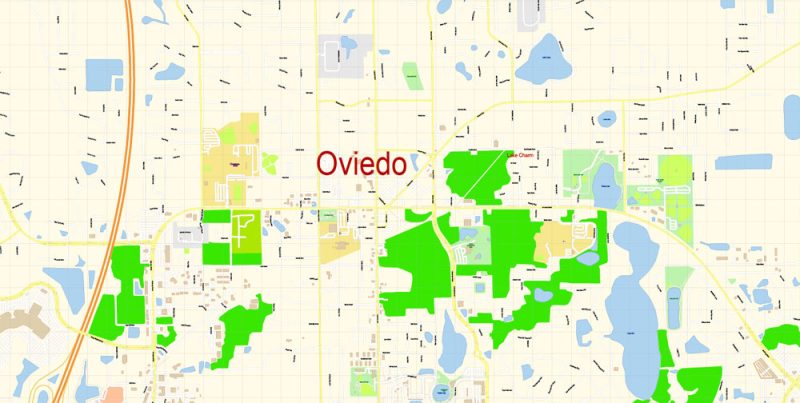 Oviedo Map Vector Exact City Plan Florida detailed Street Map editable Adobe Illustrator in layers
