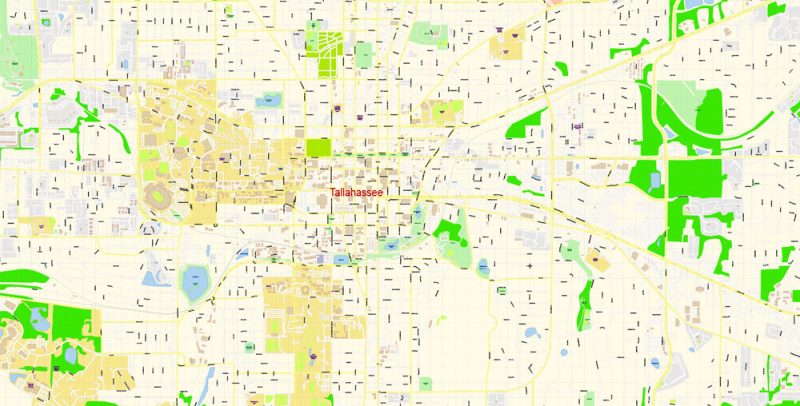 Tallahassee Map Vector Exact City Plan Florida US detailed Street Map editable Adobe Illustrator in layers
