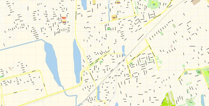 Veracruz Map Vector Exact City Plan Mexico detailed Street Map editable Adobe Illustrator in layers