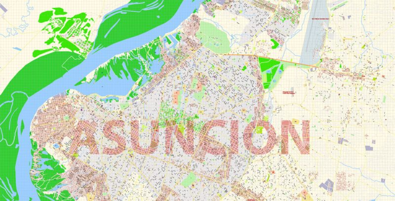 Asuncion Paraguay Map Vector Exact City Plan detailed Street Map editable Adobe Illustrator in layers
