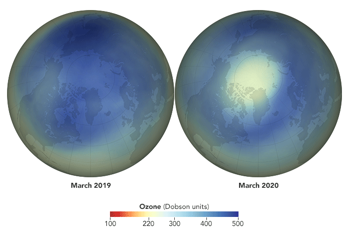 Maps showing average concentrations of ozone over the Arctic in March 2019 (a typical year) and March 2020, as calculated by the NASA Ozone Watch team. Source: NASA.