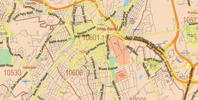 New York State US Map Vector Exact City Plan High Detailed Street Map