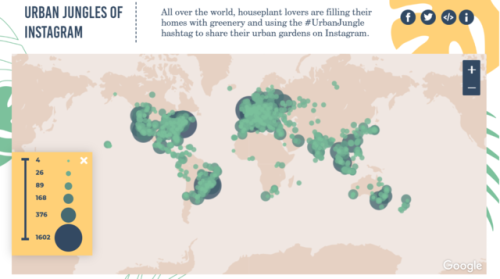 Where are the World’s Houseplant Lovers?
In this new study, Budget Direct Home Insurance set out to find where the houseplant lovers of the world reside.
To accomplish this, they analyzed over 200,000 posts on Instagram using the #UrbanJungle...