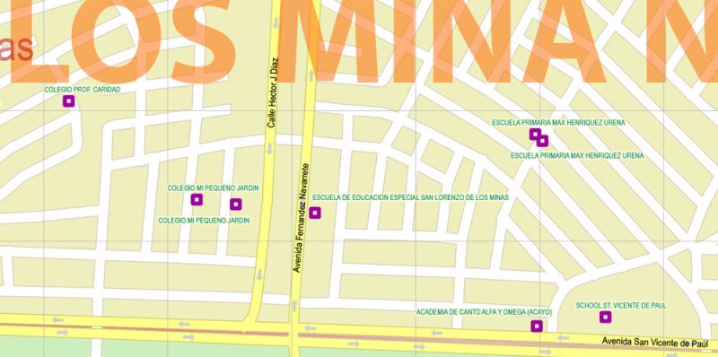 Printable Vector Map of Santo Domingo NordEste School Areas detailed City Plan