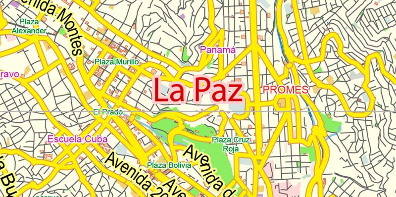 La Paz El Alto Bolivia Map Vector Exact City Plan Low Detailed Street Map editable Adobe Illustrator in layers