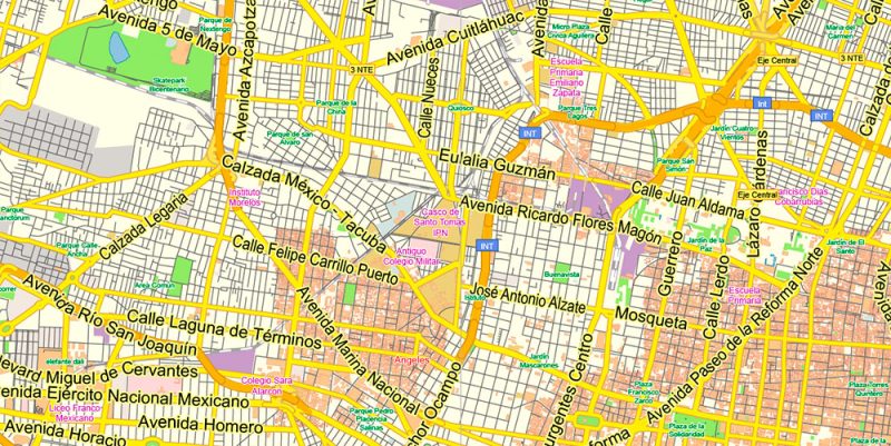 Mexico City Map Vector Exact City Plan Low Detailed Street Map editable Adobe Illustrator in layers