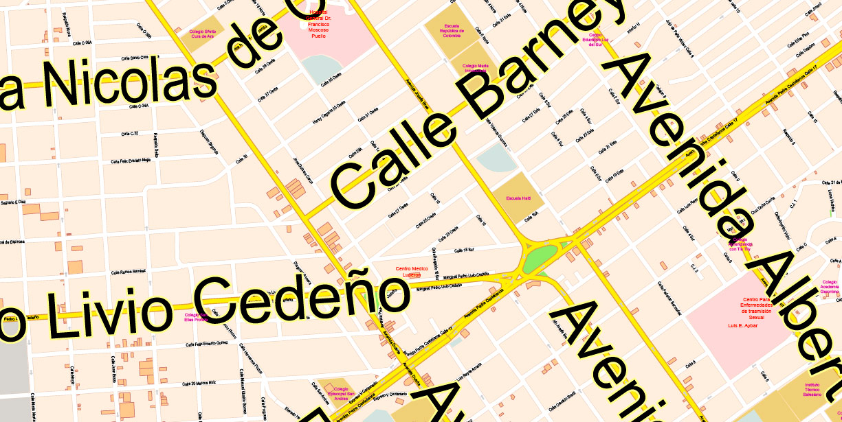 Santo Domingo RD Special Map Vector Exact City Plan High Detailed Street Map editable Adobe Illustrator + PDF in layers