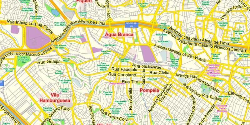 Sao Paulo \ San Paulo Brazil Map Vector Exact City Plan Low Detailed Street Map editable Adobe Illustrator in layers