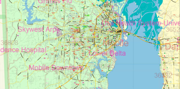 Alabama State US Map Vector Exact Roads Plan High Detailed Street Map ...