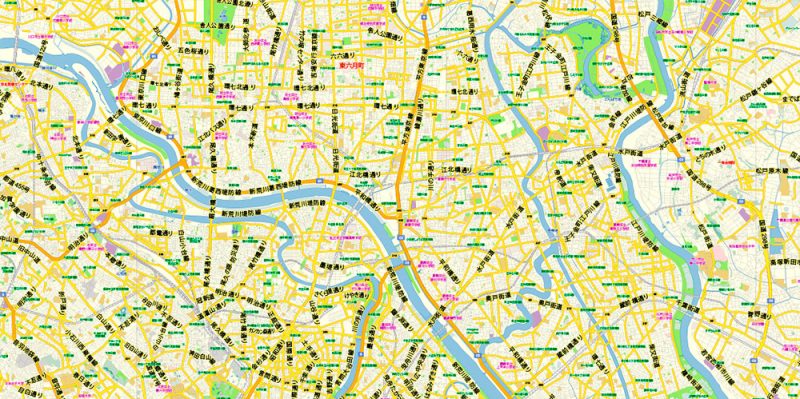 Tokyo Japan Map Vector Exact City Plan Low Detailed Street Map editable Adobe Illustrator in layers