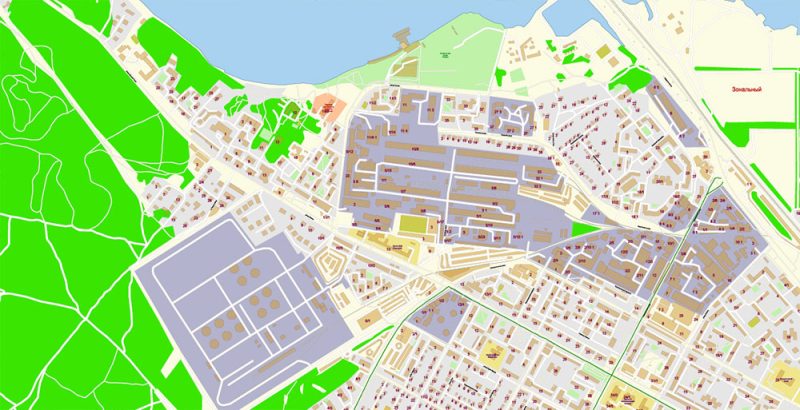 Новосибирск Россия Векторная Карта Подробная, полная нумерация домов в слоях Adobe Illustrator