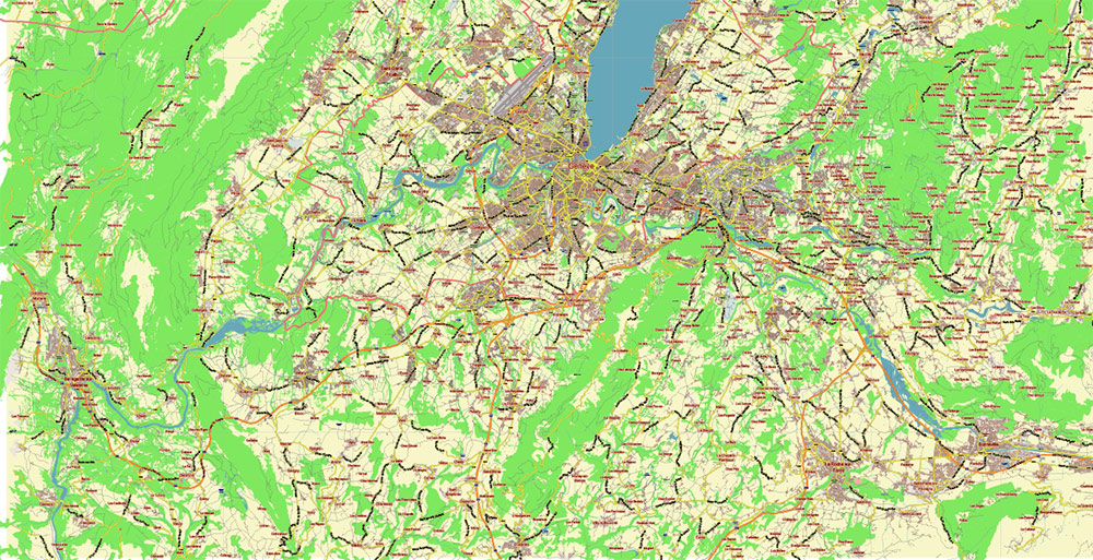 Geneva Genève Switzerland Map Vector City Plan Low Detailed (for small print size) Street Map editable Adobe Illustrator in layers
