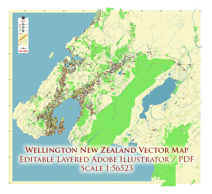 Wellington New Zealand Map Vector City Plan Low Detailed (for small print size) Street Map editable Adobe Illustrator in layers