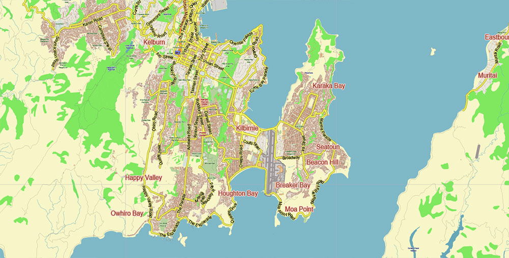 Wellington New Zealand Map Vector City Plan Low Detailed (for small print size) Street Map editable Adobe Illustrator in layers
