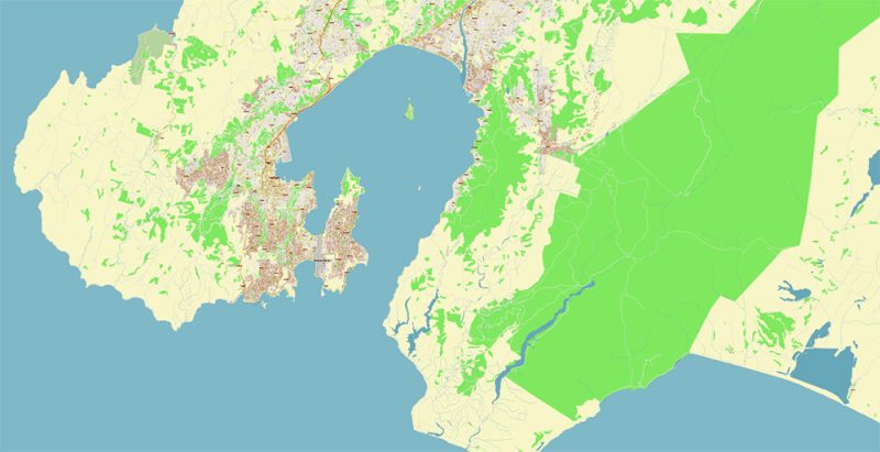 Wellington New Zealand Map Vector Exact High Detailed City Plan editable Adobe Illustrator Street Map in layers