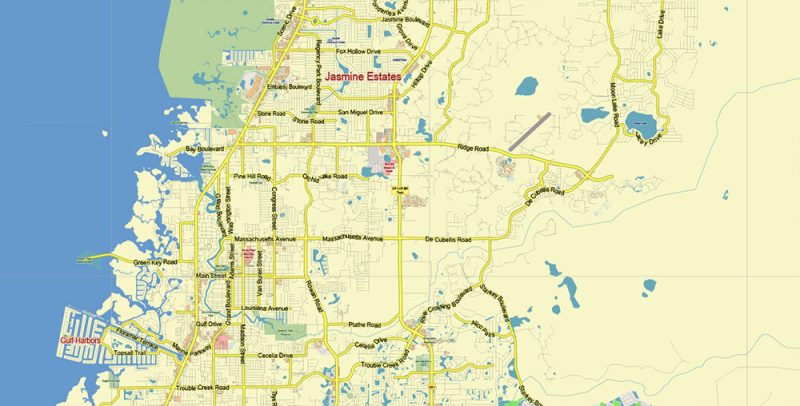 Tampa Bay Florida US Map Vector City Plan Low Detailed (for small print size) Street Map editable Adobe Illustrator in layer