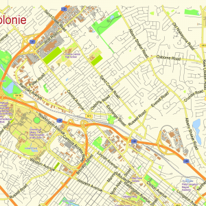 Albany New York US printable vector map