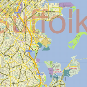 Boston Massachusetts + zipcodes US printable editable layered PDF Vector Map