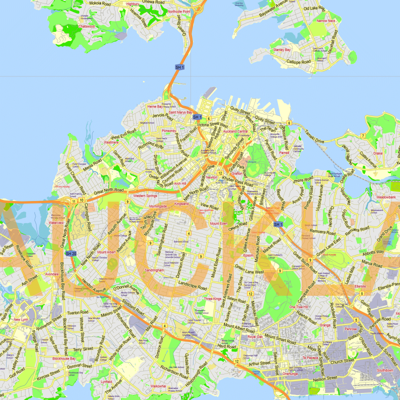 Auckland New Zealand printable editable PDF layered Vector Map v.2