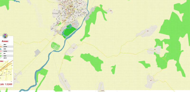 Barlad Romania Vector Map high detailed All Roads Streets editable Layered Adobe Illustrator