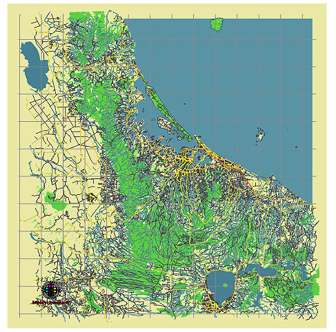 Tauranga New Zealand editable vector map svg free