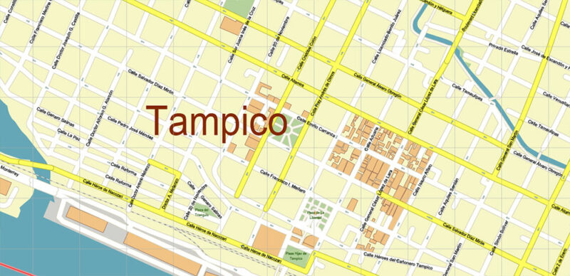 Tampico Mexico Vector Map High Detailed editable layered Adobe Illustrator