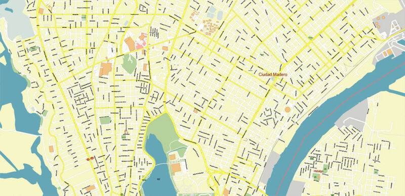 Tampico Mexico Vector Map High Detailed editable layered Adobe Illustrator