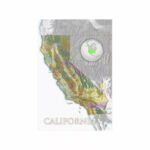 California State Map USA Wall Art 24'x36' Wall Decor Satin Poster 